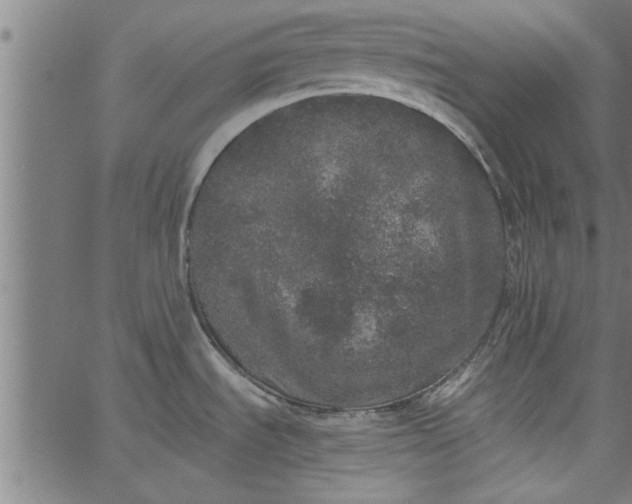 X0000066531535200603311807