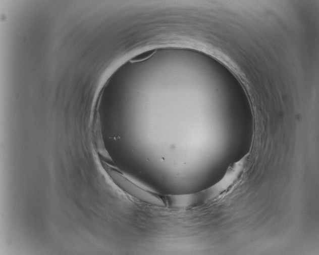 X0000066531536200603311807