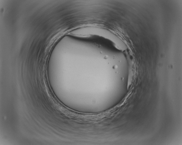 X0000066530001200604071628