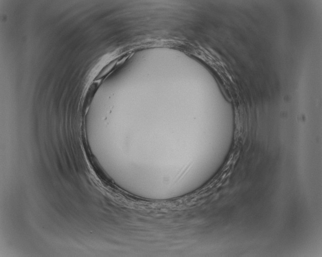 X0000066530003200604071628