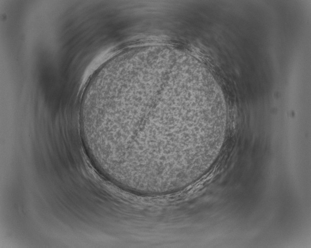 X0000066530004200604071628