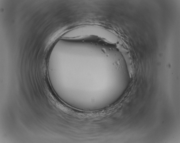 X0000066530005200604071628