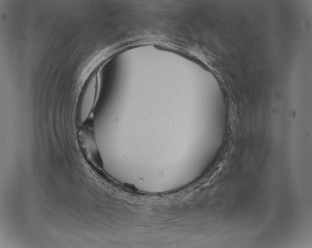 X0000066530007200604071628