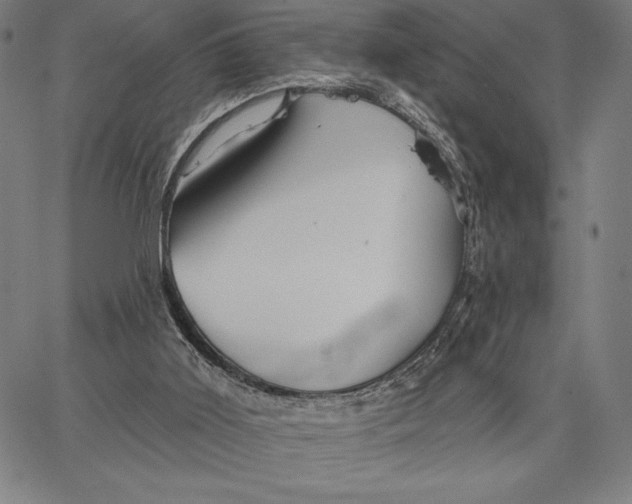 X0000066530011200604071628