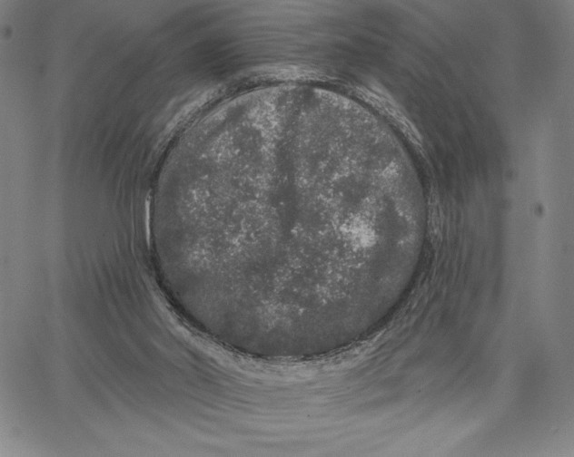 X0000066530014200604071628