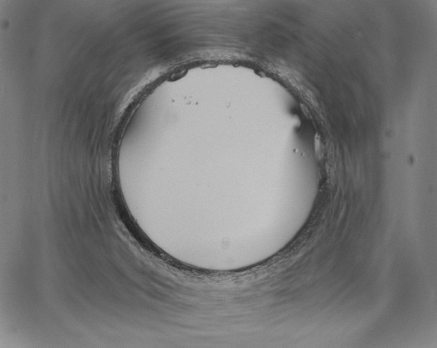 X0000066530015200604071628