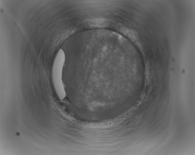 X0000066530017200604071628