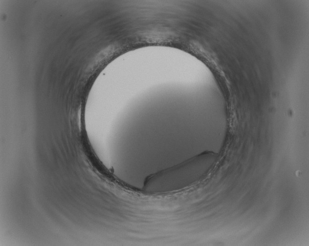 X0000066530019200604071628