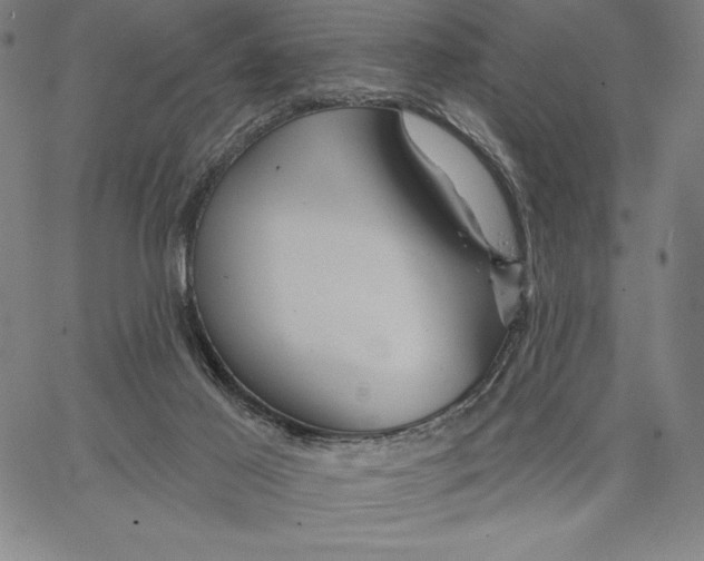 X0000066530021200604071628