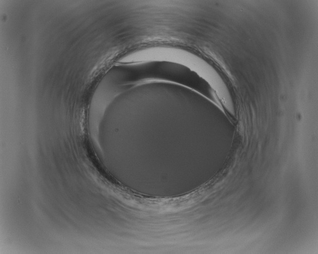 X0000066530023200604071628