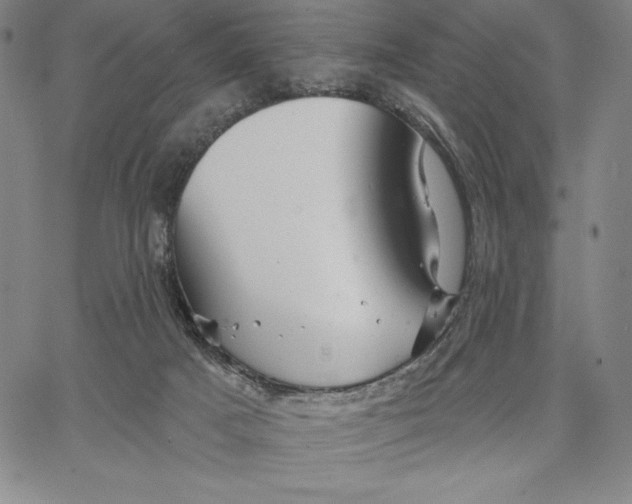 X0000066530025200604071628