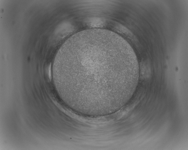 X0000066530028200604071628