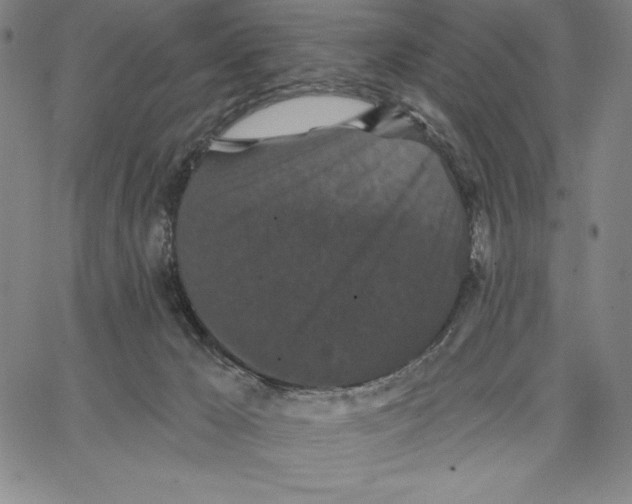 X0000066530029200604071628