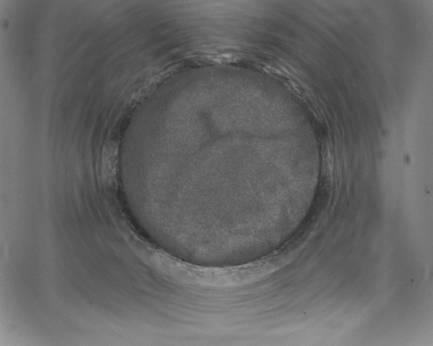 X0000066530030200604071628