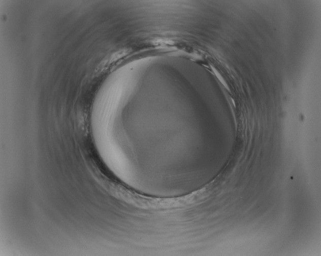 X0000066530031200604071628