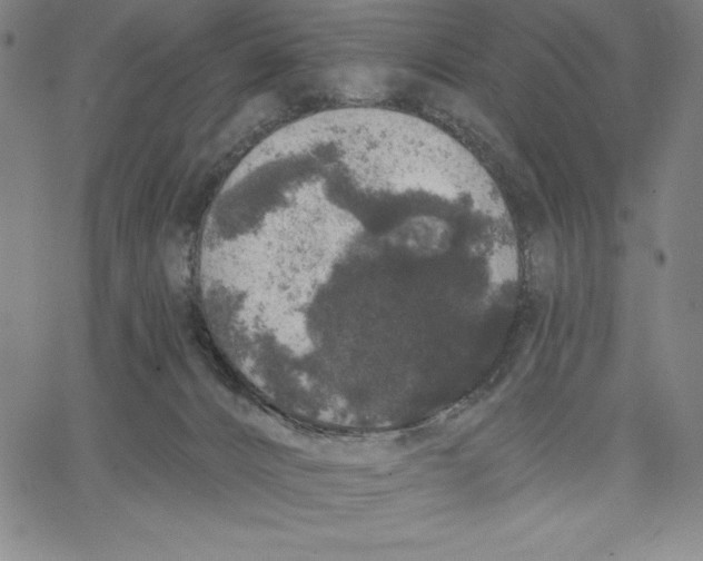 X0000066530032200604071628