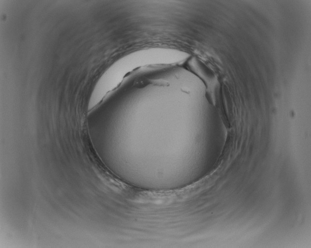 X0000066530033200604071628