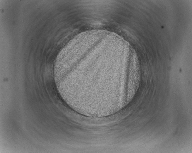 X0000066530034200604071628