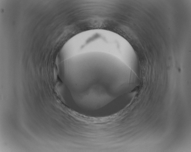 X0000066530035200604071628