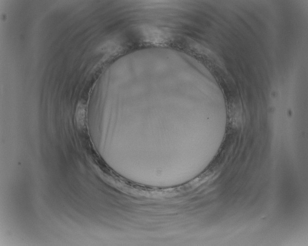 X0000066530036200604071628