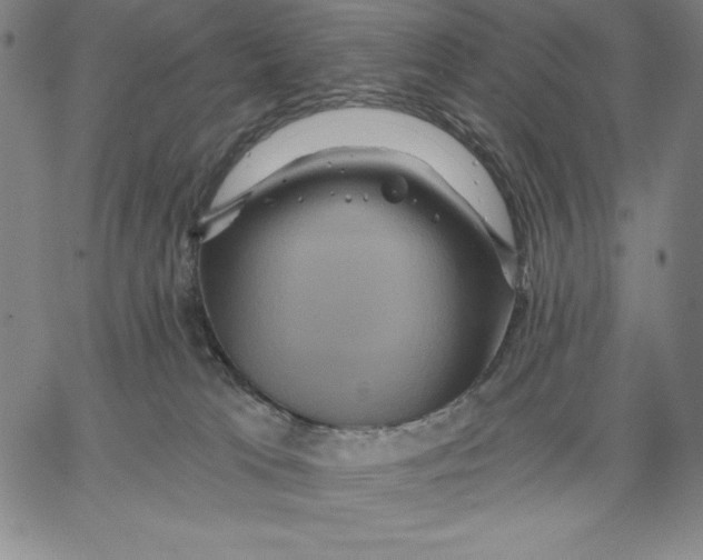 X0000066530037200604071628