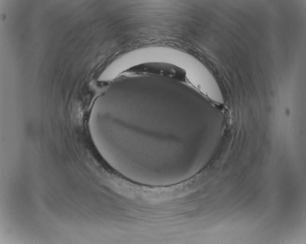 X0000066530039200604071628