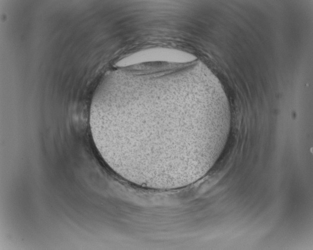 X0000066530040200604071628