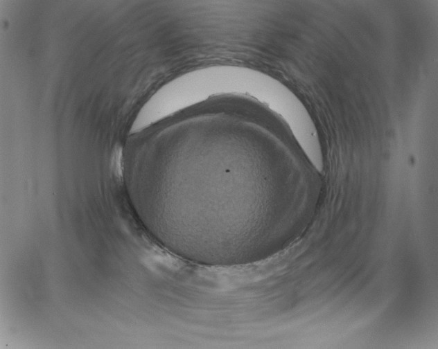 X0000066530041200604071628