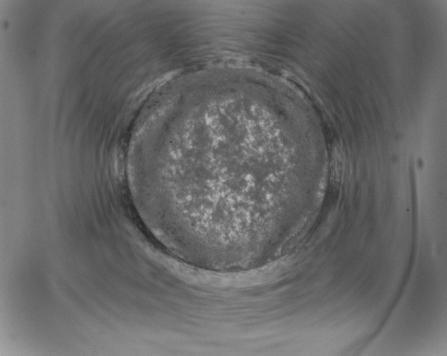 X0000066530043200604071628