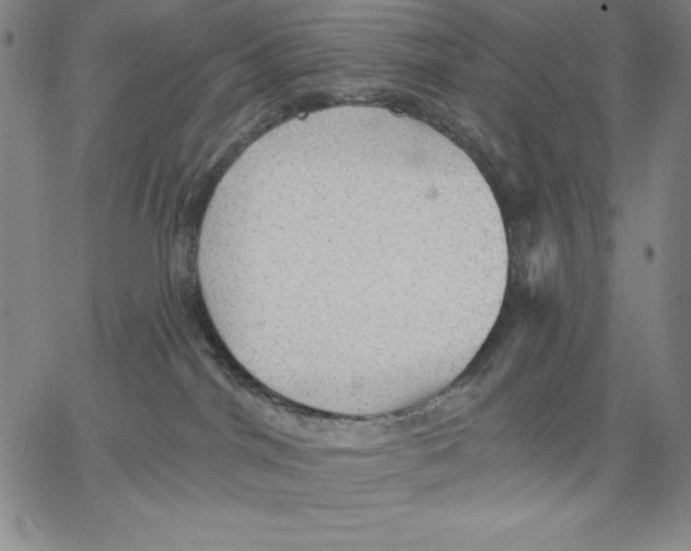 X0000066530044200604071628