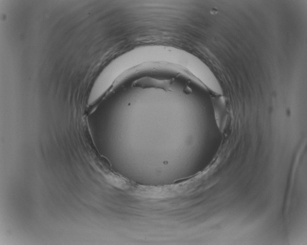 X0000066530045200604071628