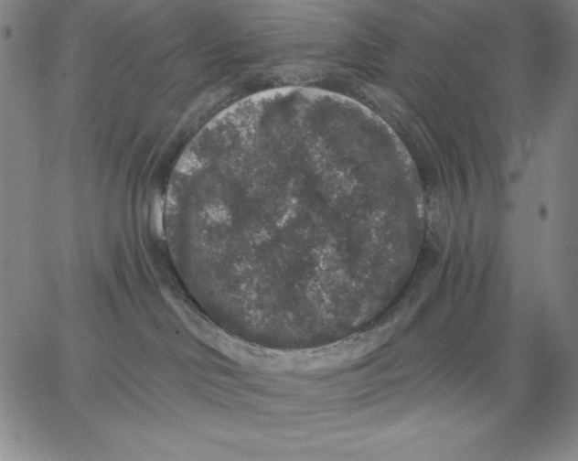 X0000066530046200604071628