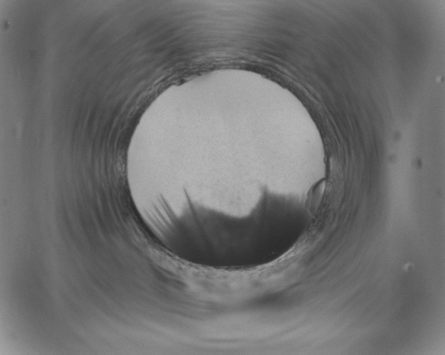 X0000066530048200604071628