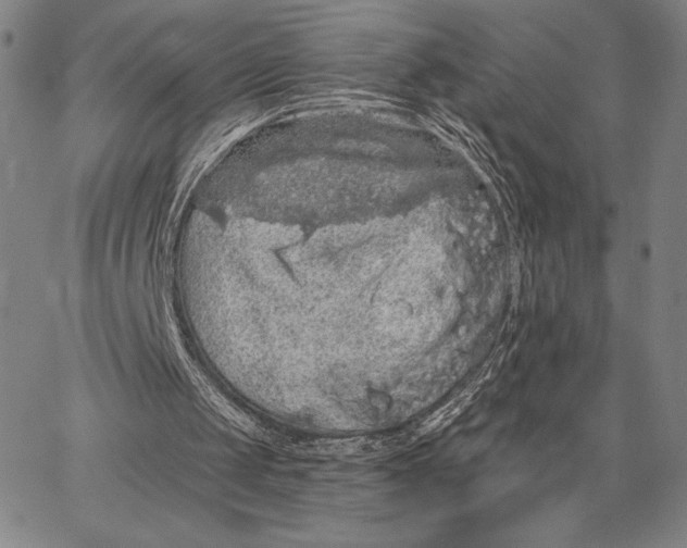 X0000066530049200604071627