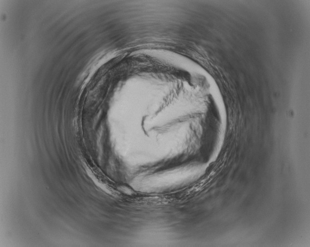 X0000066530050200604071627