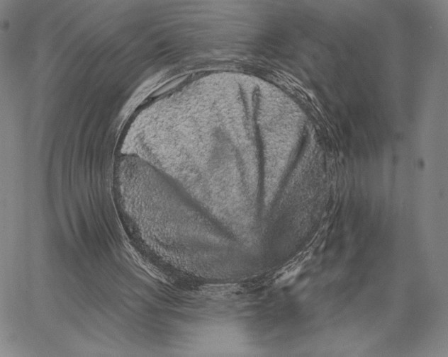 X0000066530051200604071627