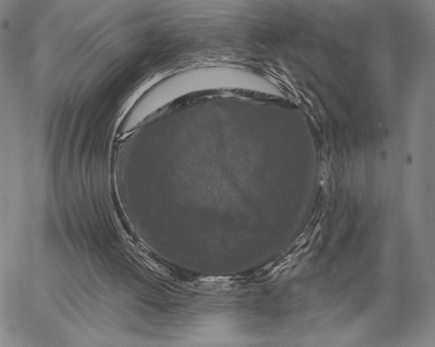 X0000066530052200604071627