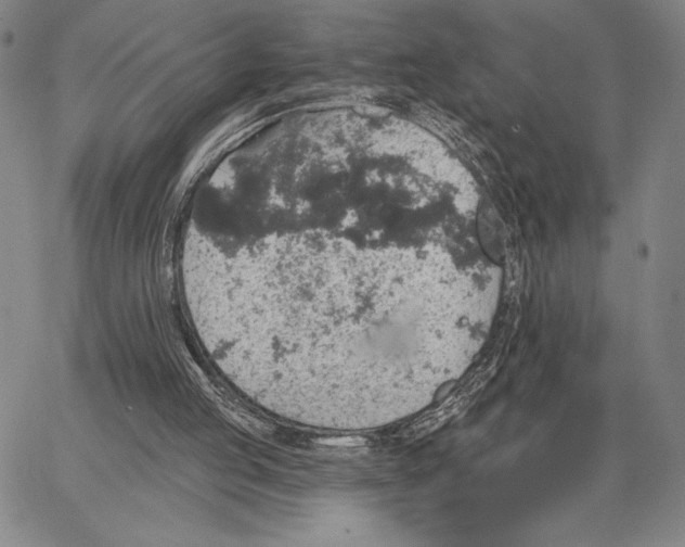 X0000066530053200604071627