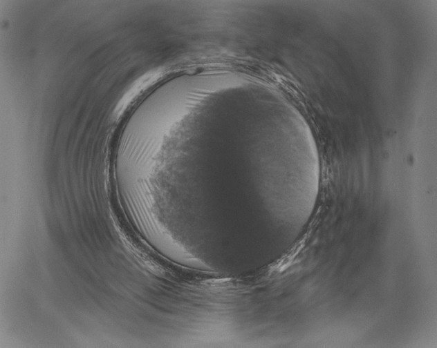 X0000066530054200604071627