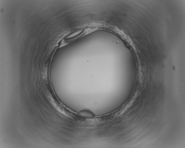 X0000066530057200604071627