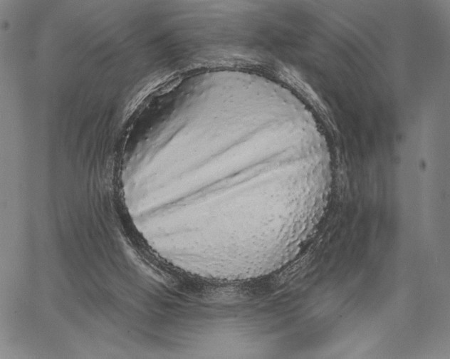 X0000066530058200604071627