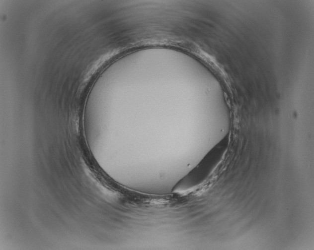 X0000066530060200604071627