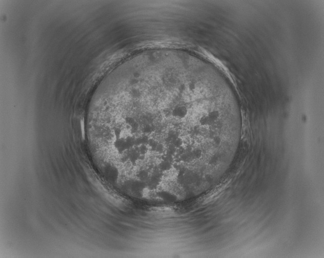 X0000066530061200604071627