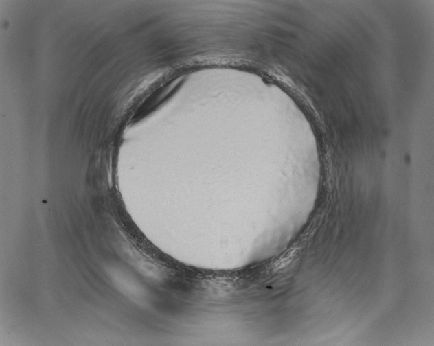 X0000066530062200604071627