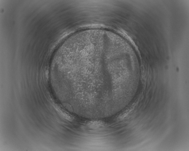 X0000066530063200604071627