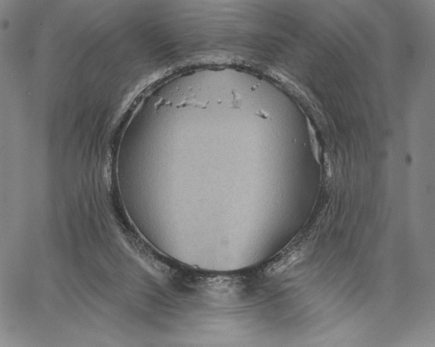 X0000066530064200604071627