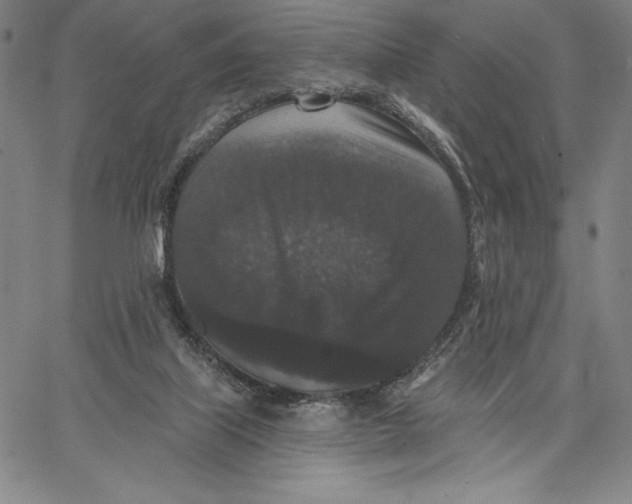 X0000066530067200604071627