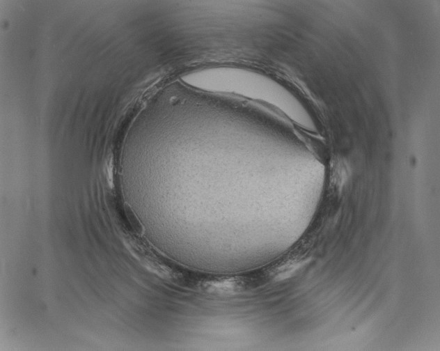 X0000066530068200604071627