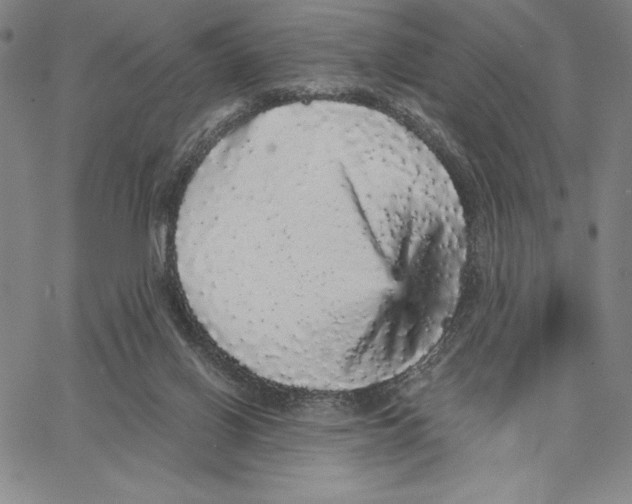 X0000066530070200604071627