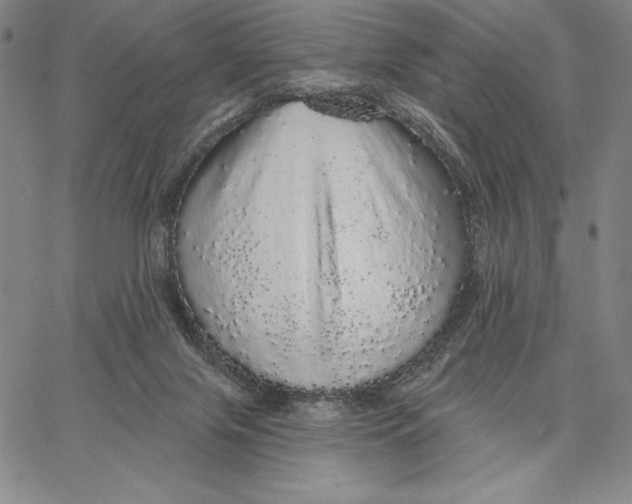 X0000066530071200604071627